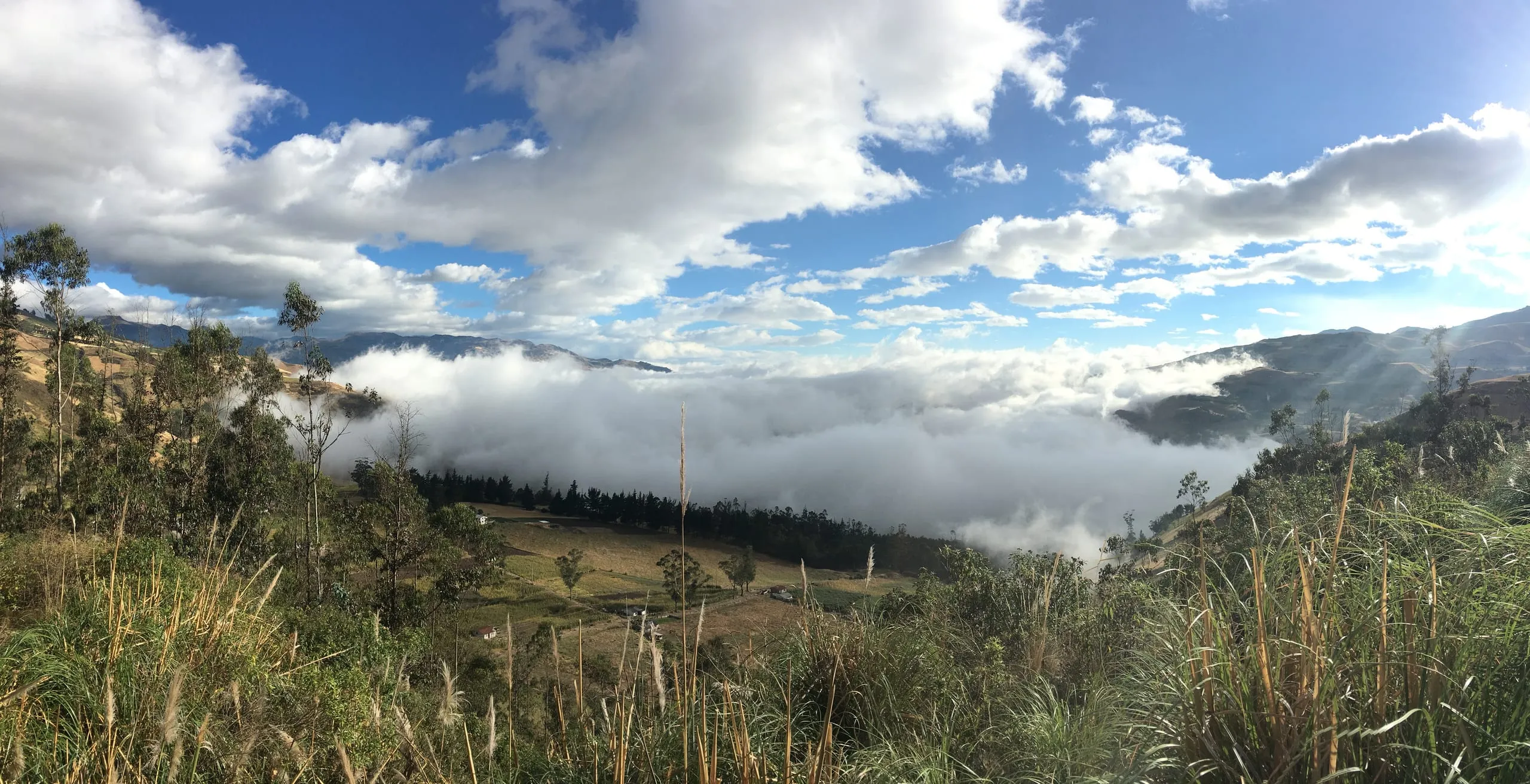 Ecuador
