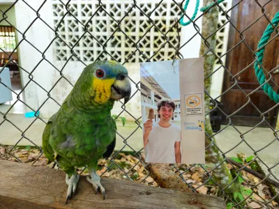 Miguel, de geadopteerde papegaai van het ziekenhuis