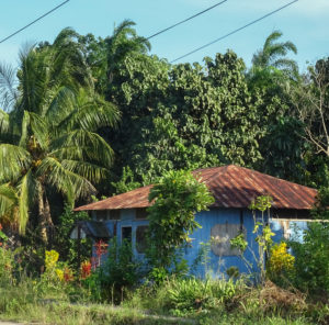 Casa Nuevo Rocafuerte